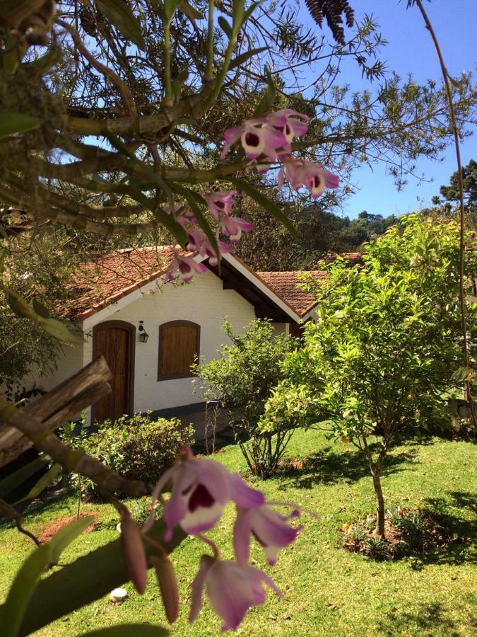 Hotel Pousada Oliveri Monte Verde  Zewnętrze zdjęcie